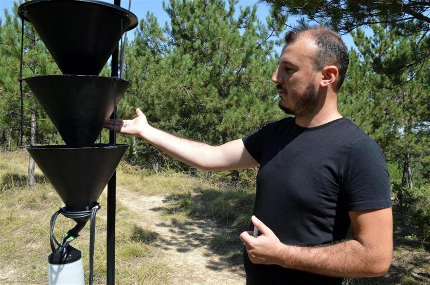 Ormanları böcekten elektronik tuzak koruyacak