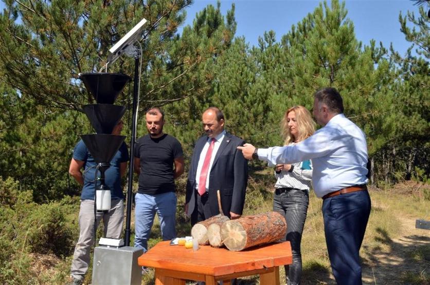 Ormanları böcekten elektronik tuzak koruyacak