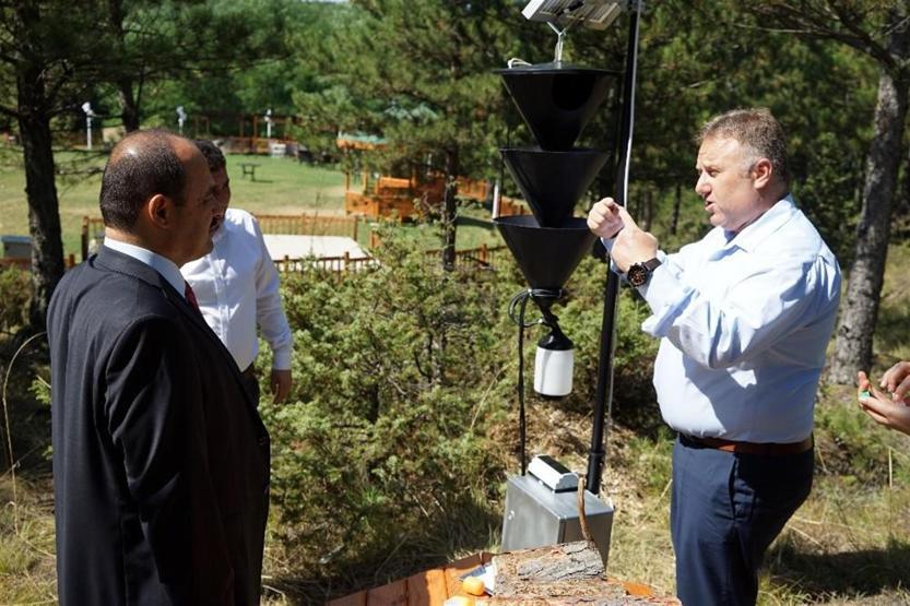 Ormanları böcekten elektronik tuzak koruyacak