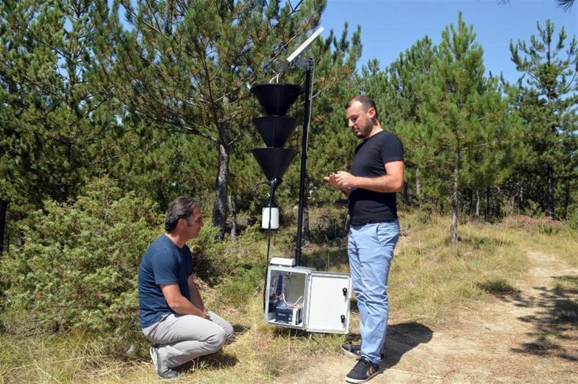 Ormanları böcekten elektronik tuzak koruyacak