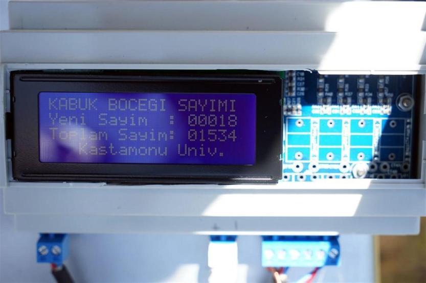Ormanları böcekten elektronik tuzak koruyacak