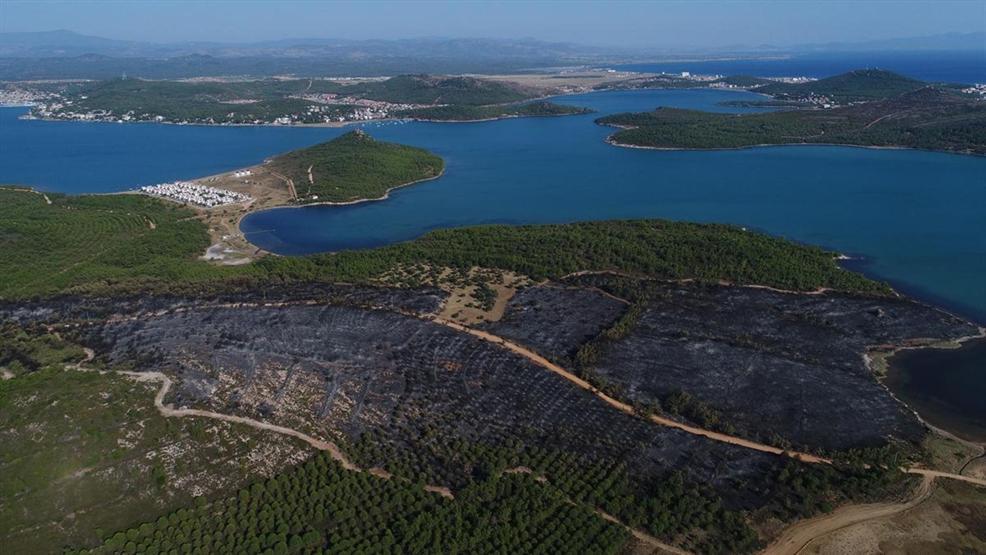 Ayvalıktaki yangında tabiat parkı bu hale geldi