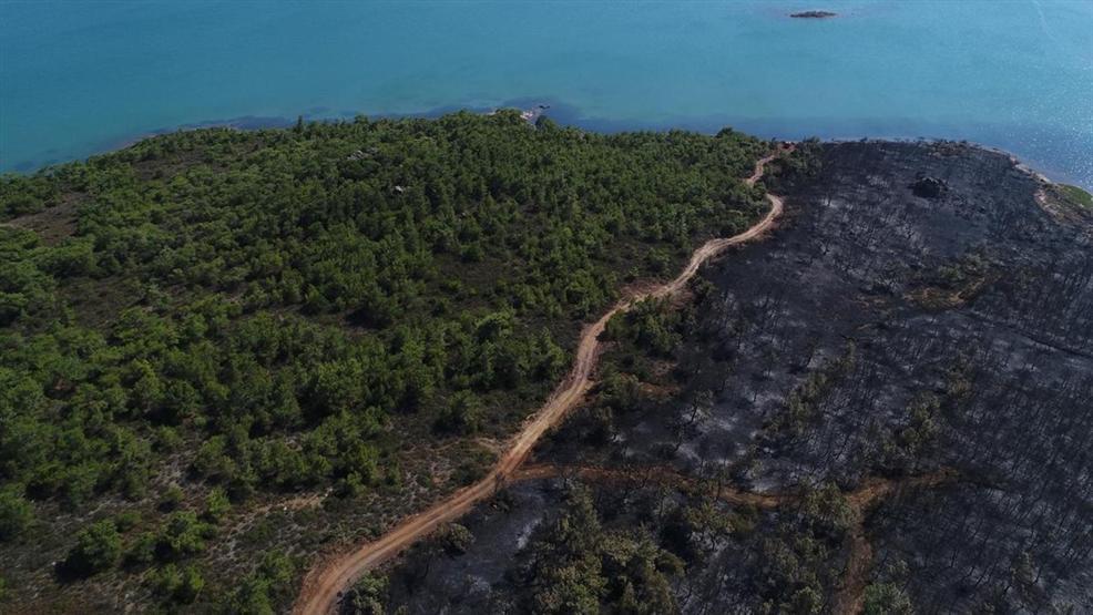 Ayvalıktaki yangında tabiat parkı bu hale geldi