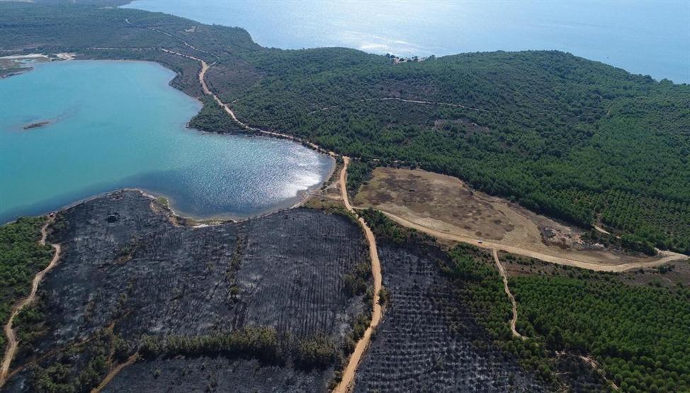 Ayvalıktaki yangında tabiat parkı bu hale geldi