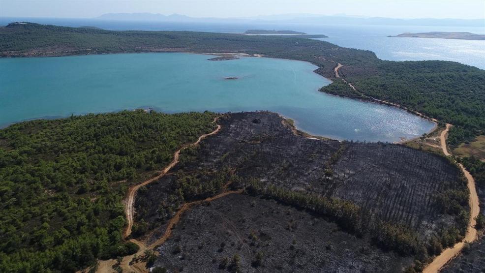 Ayvalıktaki yangında tabiat parkı bu hale geldi