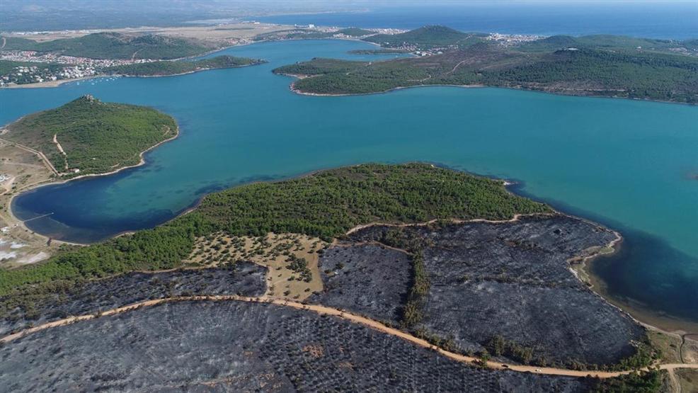 Ayvalıktaki yangında tabiat parkı bu hale geldi