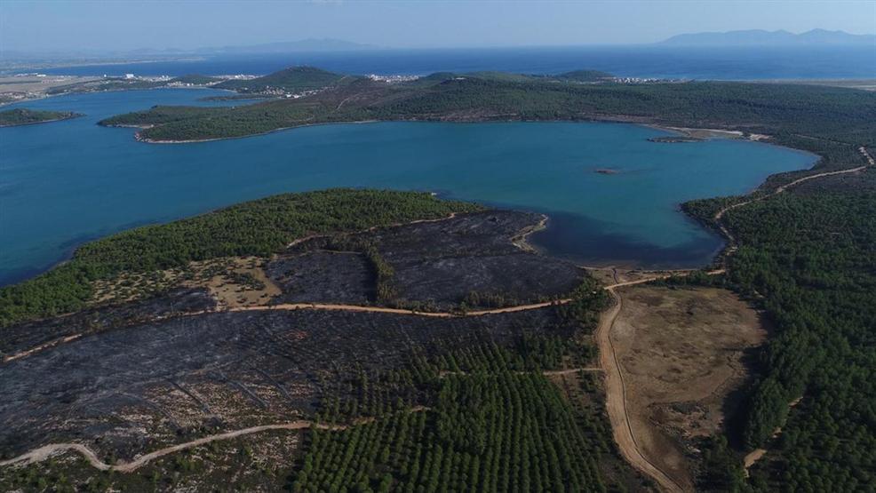 Ayvalıktaki yangında tabiat parkı bu hale geldi