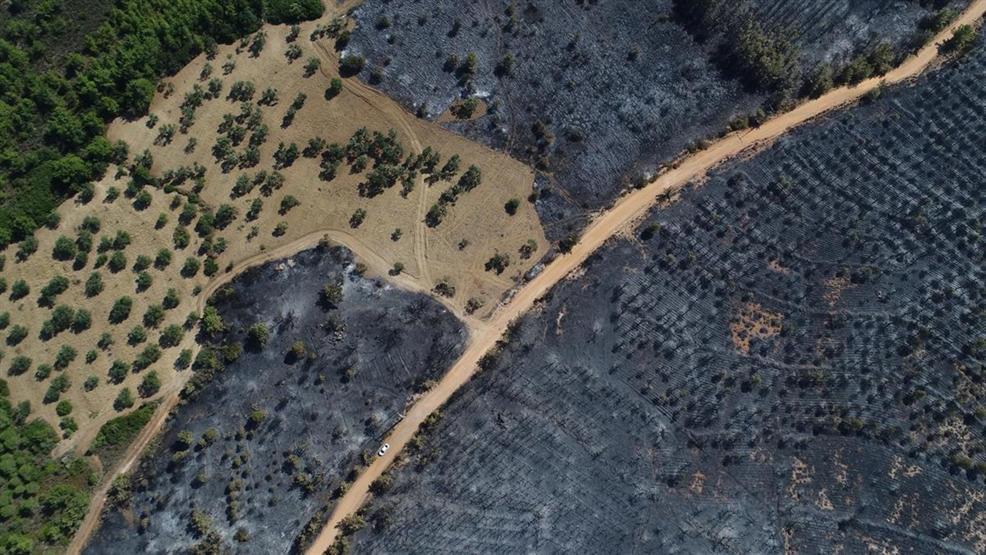 Ayvalıktaki yangında tabiat parkı bu hale geldi