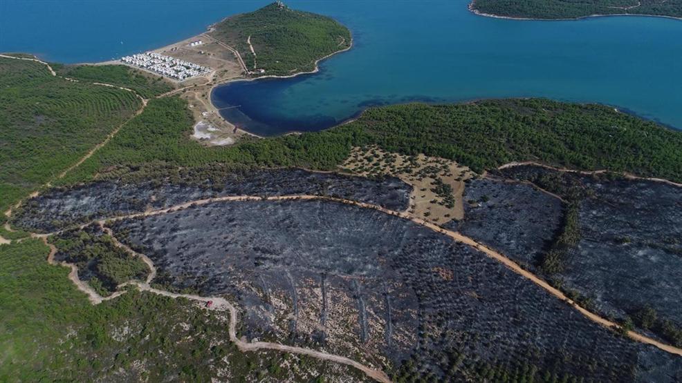 Ayvalıktaki yangında tabiat parkı bu hale geldi