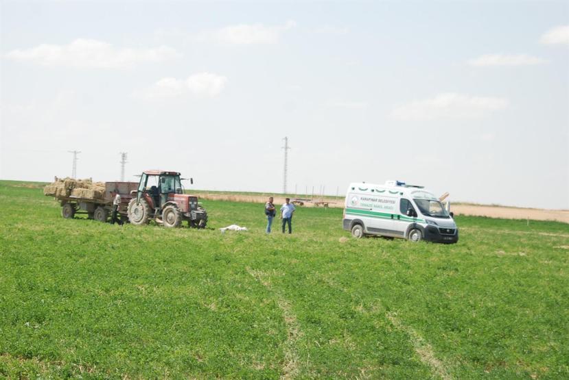 Tarla kavgası: 3 ölü