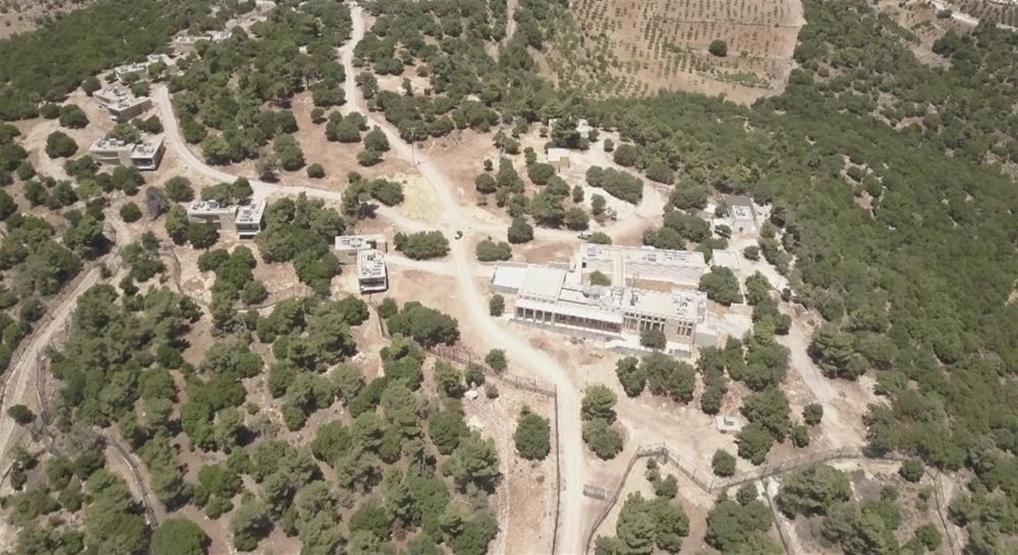 Suriye’den getirilen savaş mağduru hayvanlar Ürdün’e nakledildi