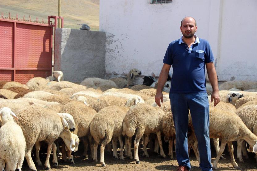 Koyunları için bidonlarla 10 kilometreden su taşıyor