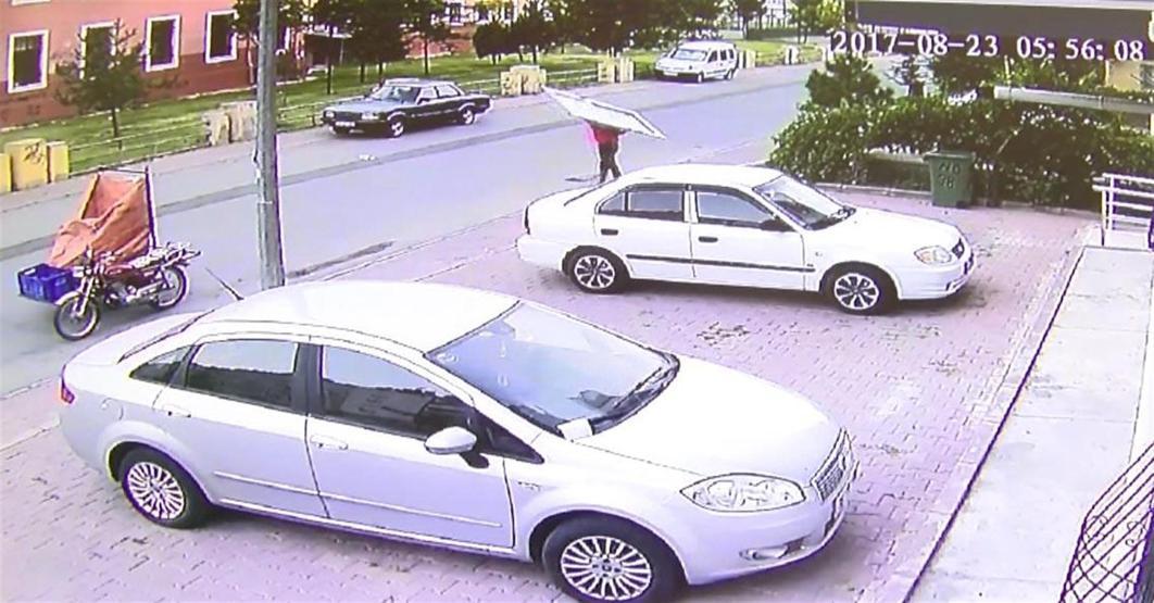 Hayrete düşüren olay: Apartmanın giriş kapısını çaldı