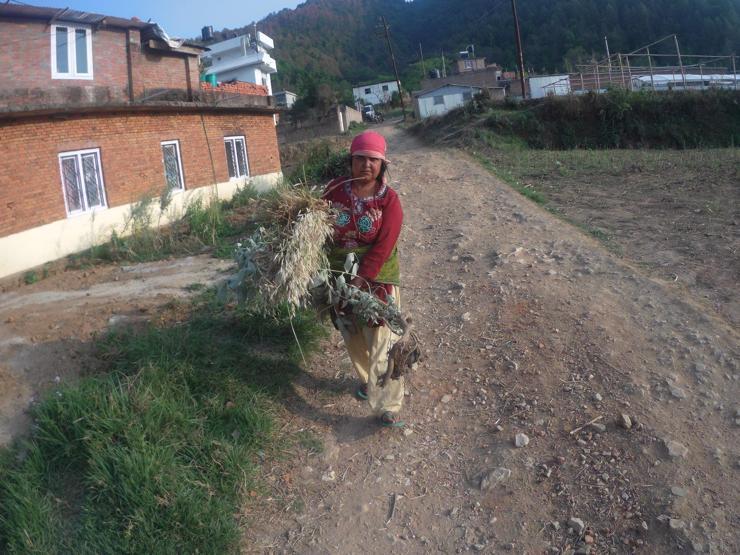 Türkiyeden Nepal’e uzanan yardım eli