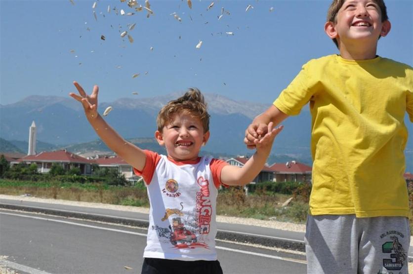 Ayçekirdeğini kurutmak için çevre yolunu kapattılar