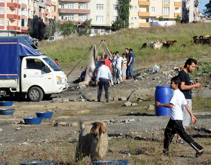 Yasağa kulak asmadılar: İstanbulda kaçak kurban kesimleri