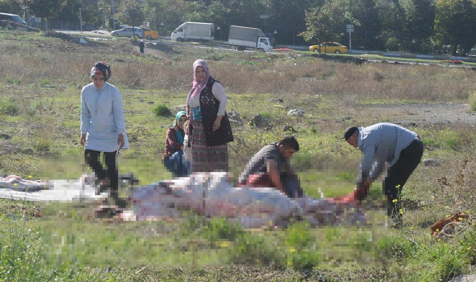 Yasağa kulak asmadılar: İstanbulda kaçak kurban kesimleri