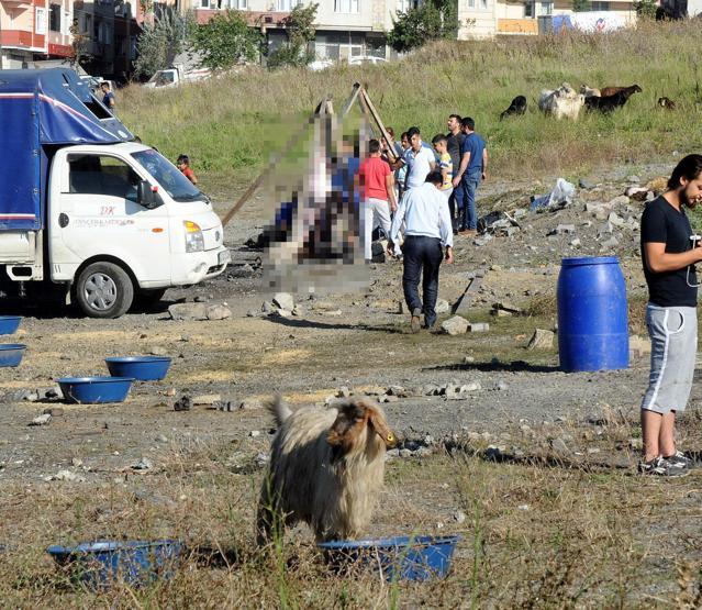 Yasağa kulak asmadılar: İstanbulda kaçak kurban kesimleri