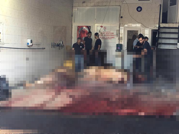 Yasağa kulak asmadılar: İstanbulda kaçak kurban kesimleri