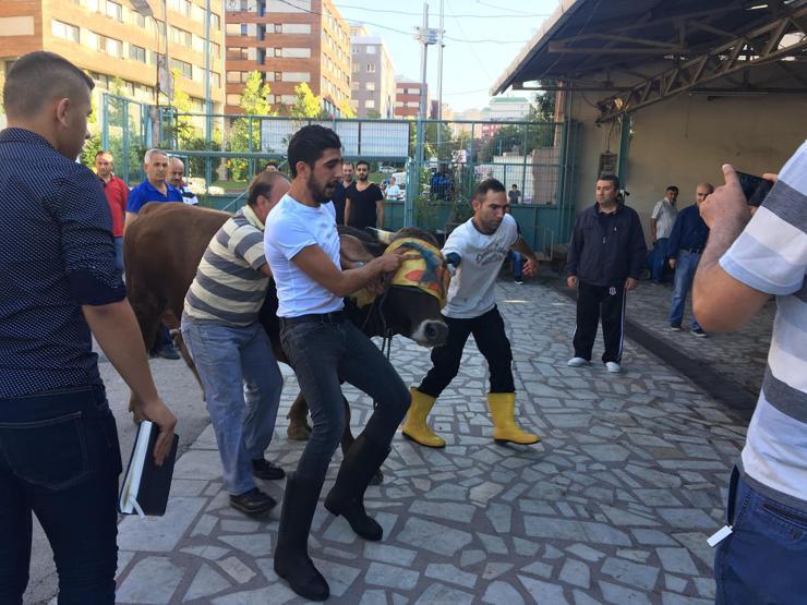 Yasağa kulak asmadılar: İstanbulda kaçak kurban kesimleri
