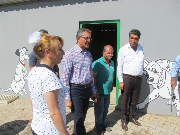 Tokatta hayvan barınağına zarar verildiği iddiası