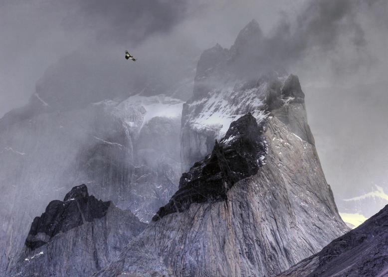 2017nin en güzel kuş fotoğrafları seçildi