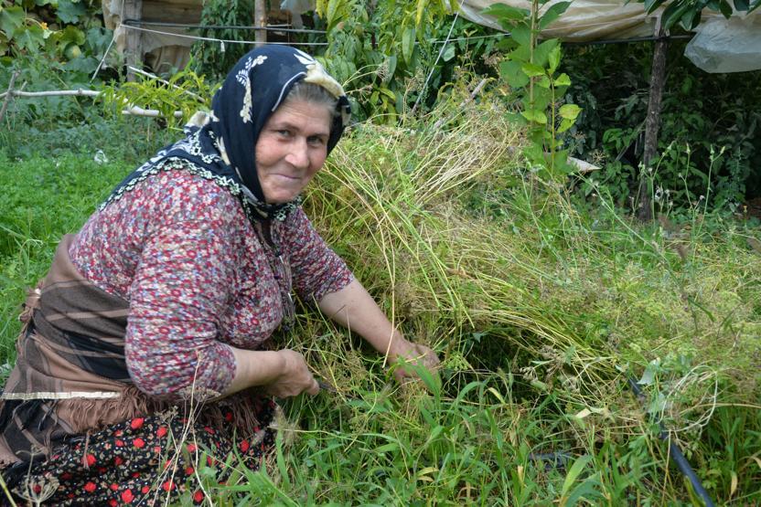 Ders kitaplarına konu Ümmiye Koçak: Benim için gurur verici