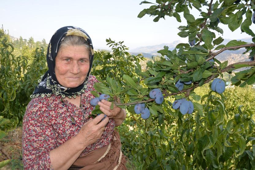 Ders kitaplarına konu Ümmiye Koçak: Benim için gurur verici