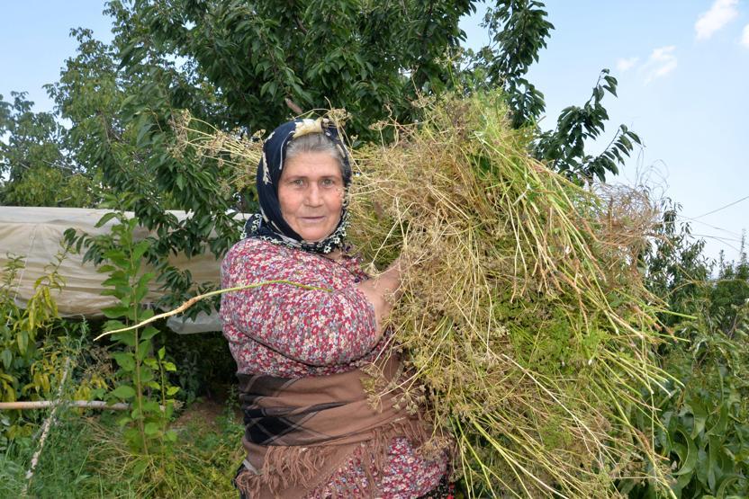 Ders kitaplarına konu Ümmiye Koçak: Benim için gurur verici