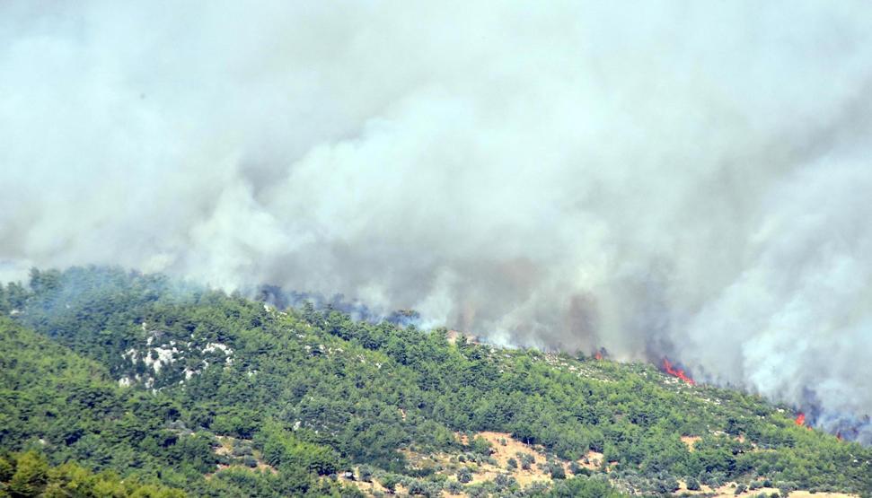 Son dakika... Muğlada yangın dehşeti... Evler kül oldu