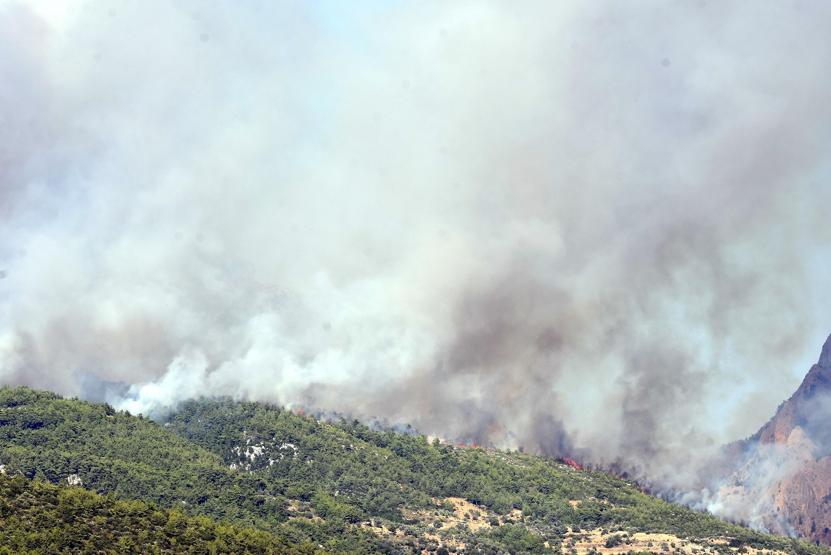 Son dakika... Muğlada yangın dehşeti... Evler kül oldu