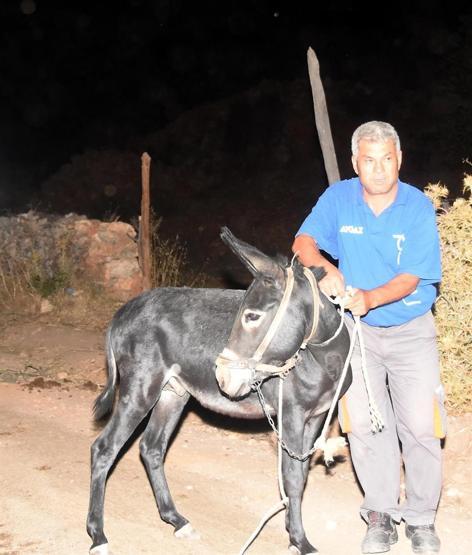 Muğlada orman yangını