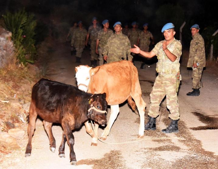 Muğlada orman yangını