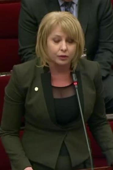 Milletvekili çocuk pornosu izleyen eşini yakalatmış