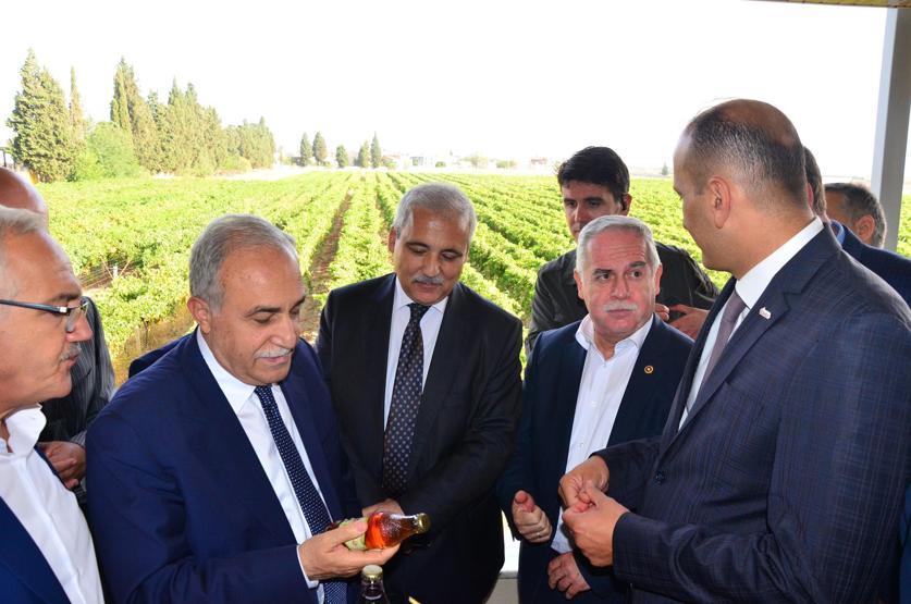Ahmet Eşref Fakıbaba: Ayrandan sonra içeceğim üzüm suyu