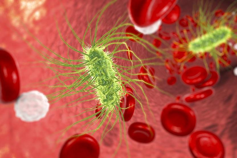 Her yıl 31 milyon 500 bin kişide sepsis hastalığı ortaya çıkıyor