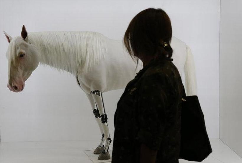 Contemporary Istanbul ünlü akımına uğradı