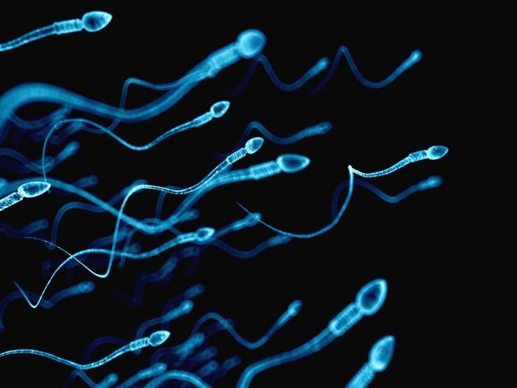 Sperm kalitesini düzeltmenin formülü: Domates suyu