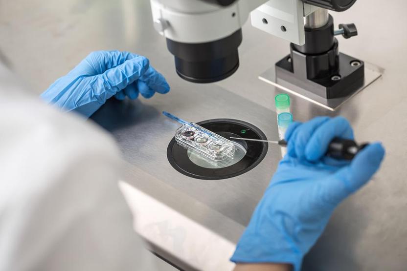Sperm kalitesini düzeltmenin formülü: Domates suyu
