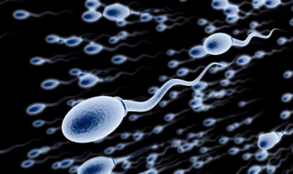 Sperm kalitesini düzeltmenin formülü: Domates suyu