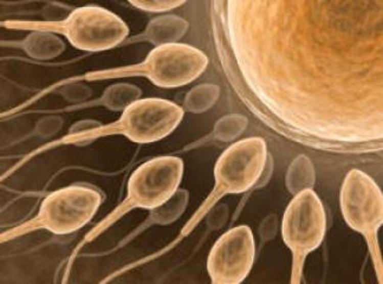 Sperm kalitesini düzeltmenin formülü: Domates suyu