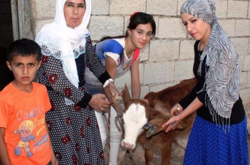 Dünyanın en ilginç hayvanları