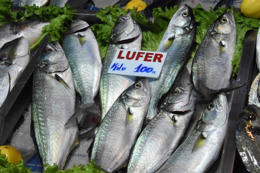 Balık fiyatları tavan yaptı Tanesi 30 TL