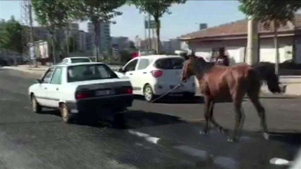 Atı otomobilin arkasına bağladı