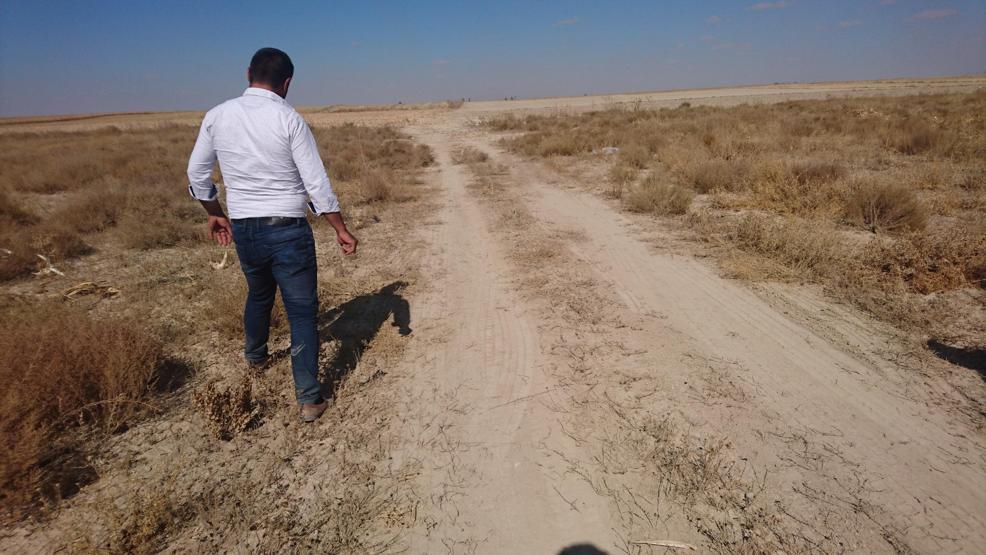 Komşusundan gelen telefonla tarlaya koştu, dünyası başına yıkıldı