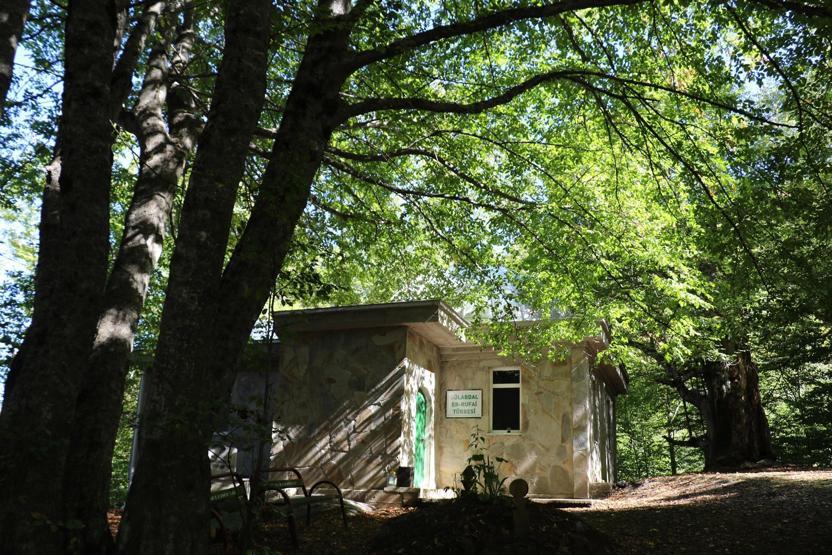 Korkudan tek bir dal bile kesemiyorlar