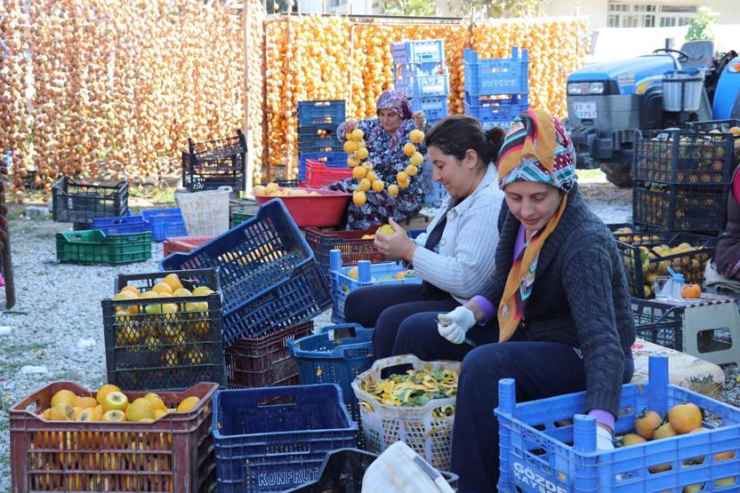 Cennet elması, üreticinin yüzünü güldürüyor