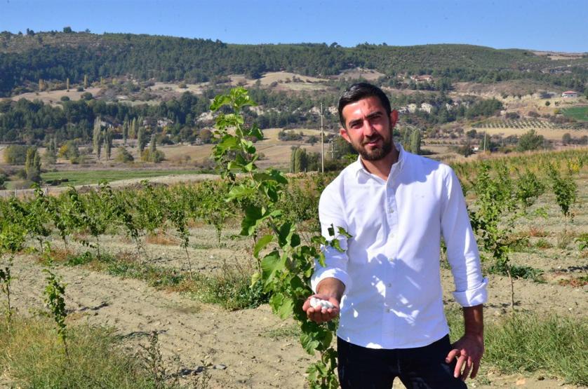 İstanbuldan kaçıp ipek böceği üretimine başladı