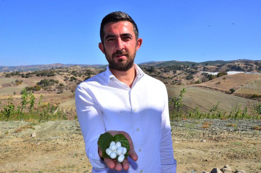İstanbuldan kaçıp ipek böceği üretimine başladı