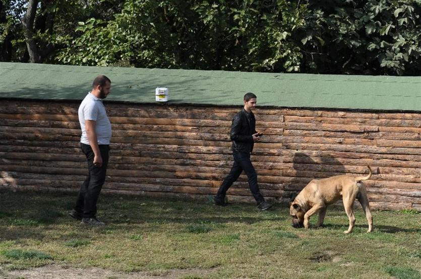 Sayaç okuyanlara köpek saldırısına karşı korunma eğitimi verildi